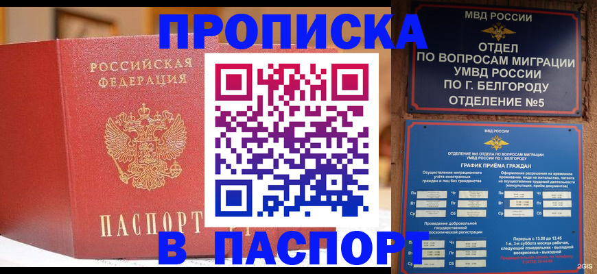 временная регистрация в квартире в Сафоново